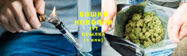 прущий лед Верея